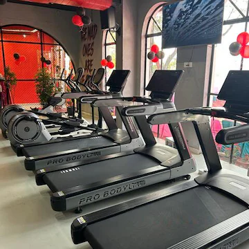 true-athlen-sports-and-fitness-bengali-kothi-dehradun-cricket-bat-dealers-bdm-939q1ganfy-250